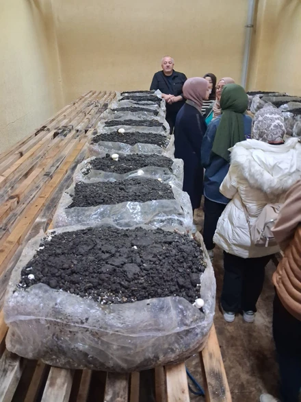 MANTARCILIK UYGULAMA VE ARAŞTIRMA MERKEZİNE TEKNİK GEZİ